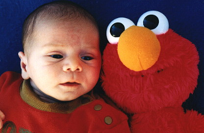 Who is the cutest?