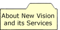 About New Vision and Services