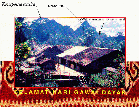 When do you intend to visit my kampong?
