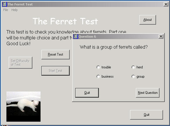 The Ferret Test screen shot.