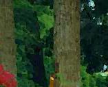 Green Woodpecker