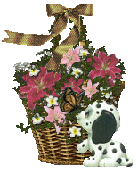baskets008h.gif (30748 bytes)