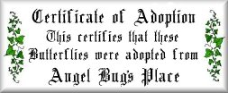 coa2.jpg (11214 bytes)