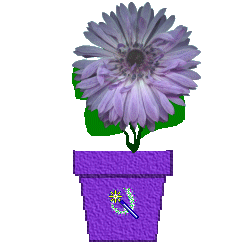 flwr_maddamwebb.gif (19438 bytes)