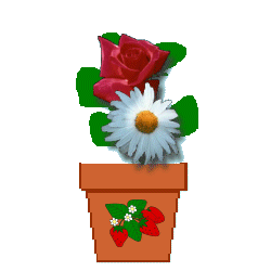 flwr_multiple.gif (11187 bytes)