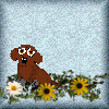 carykennels.gif (30113 bytes)