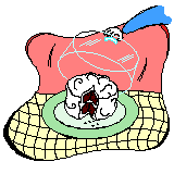 Cake.bmp (26678 bytes)
