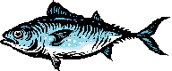 AN02614_.wmf (25032 bytes)