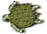 turtle.gif (1592 bytes)
