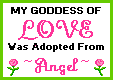 Angel Link