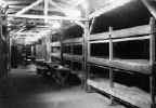 Scene from inside sleeping quarters - rough bunk beds