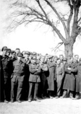 Group of released Allied POWs