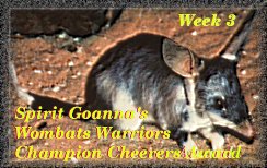 Goanna's week 3 cheering award