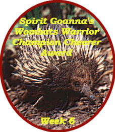 Week 6 spirit cheering award