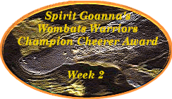 Spirit Goanna's Cheering Award
