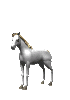 caballobrinca1[1].gif (14004 bytes)