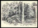 point pleasant park