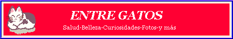 Entre Gatos