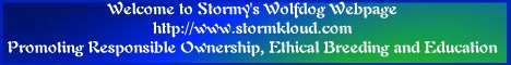 stormy.gif (172299 bytes)