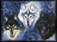 WolfTrio.jpg (12163 bytes)