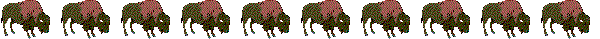 bufs.gif (6417 bytes)