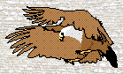 eagle3.gif (4372 bytes)