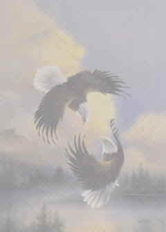 eaglecourtship.jpg (6279 bytes)