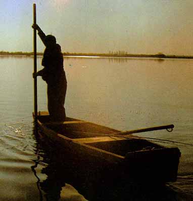 [Picture from Tisza in Vojvodina]