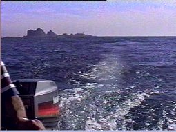 Isla Los Lobos