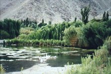 Rio Turbio