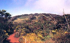 Parque Fray Jorge