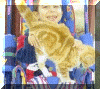 alexcat2.gif (24359 bytes)