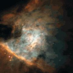 Gold Orion