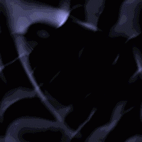 Bones