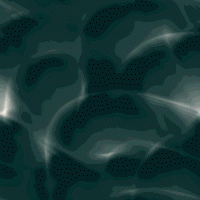 Sea Bottom