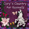 cary.gif (18605 bytes)
