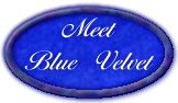 Blue Velvet's Home