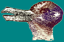 1duck.gif (12813 octets)