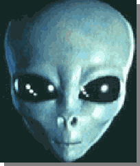 img10.gif (77518 octets)