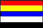 [First ROC Flag]