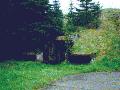 back gun bunker entrance