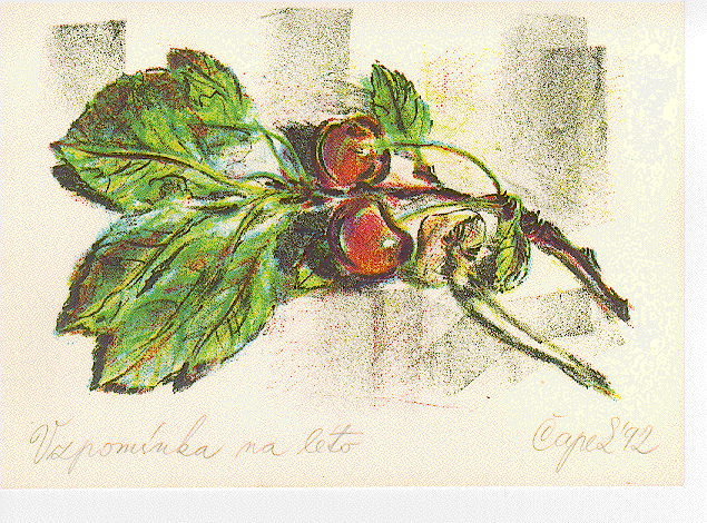 cherries