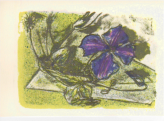 CLEMATIS