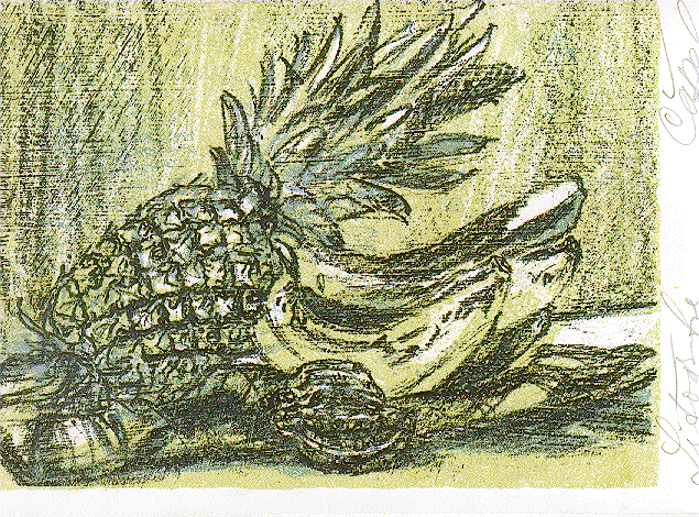 PINEAPPLE