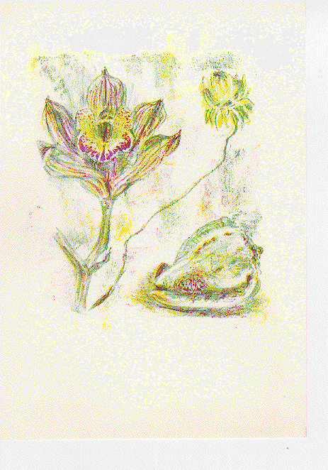 ORCHID