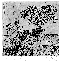 azalea