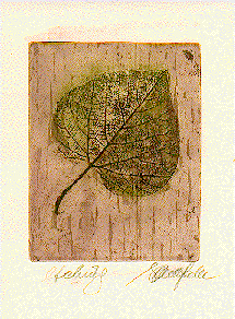 leaf