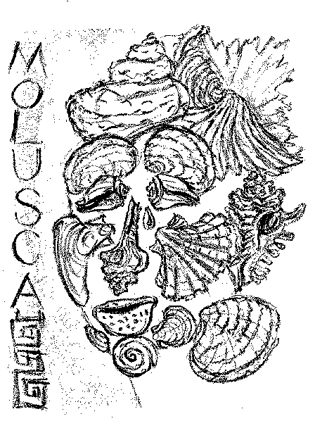 molusca