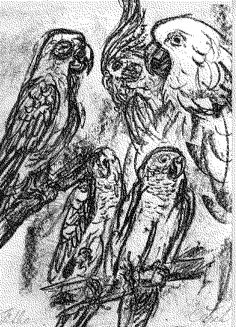 Parrots