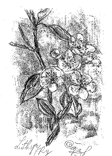 pear